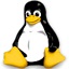 Linux Kernel